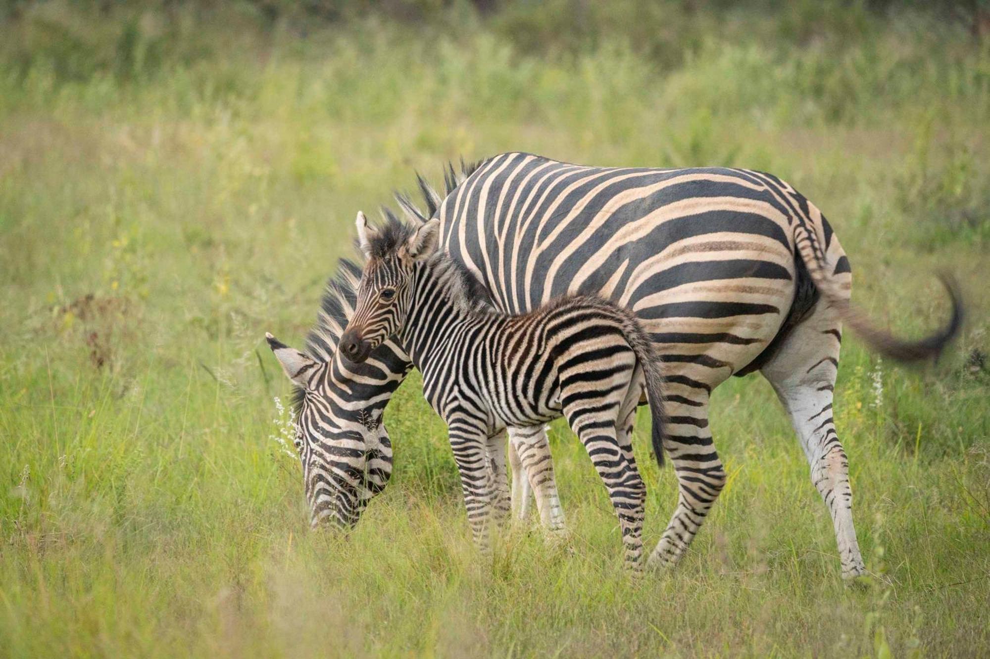 Ekuthuleni Lodge Странд Екстериор снимка